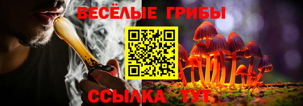 Псилоцибиновые грибы Magic Shrooms  Вход с VPN  Щёлково 