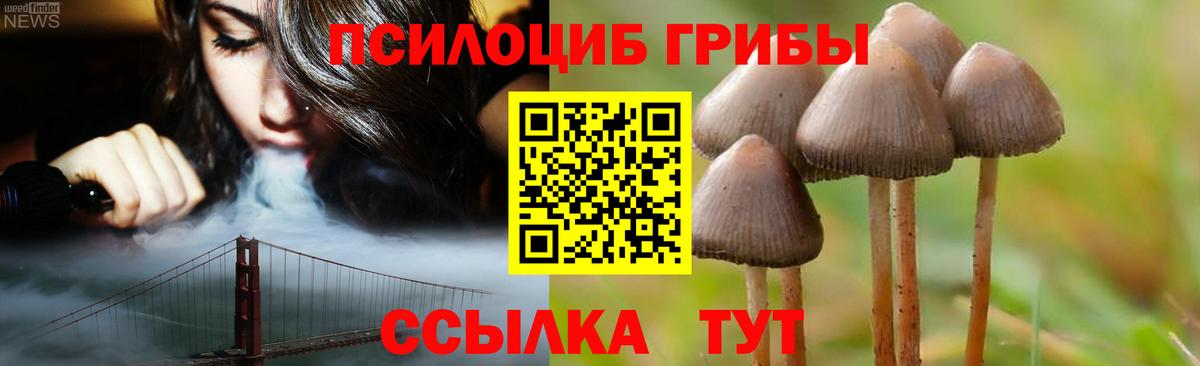 Галлюциногенные грибы GOLDEN TEACHER Щёлково